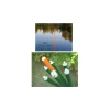Atropa Accessoires Pour Repere Atrotube