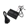 Haswing Batterie Lithium Lifepo4 36V 15Amp Avec Chargeur