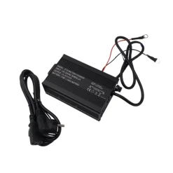 Haswing Batterie Lithium Lifepo4 36V 5Amp Avec Chargeur