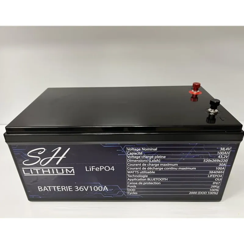 SH Lithium Batterie Lithium Lifeop4 Format Caisse Bluetooth 36V100amp + Chargeur