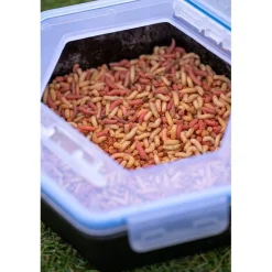 Boîte À Appâts Zebco Secure-Lock Bait Box
