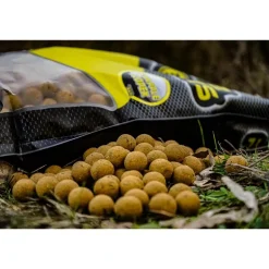 Bouillette Pro Elite Baits Boilies Classic Pineapple & Scopex