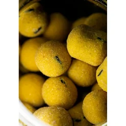 Pro Elite Baits Bouillette Équilibrée Gold Wafter Boilie+Dumbell