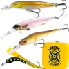 Fishxplorer Box Truite Poissons Nageur
