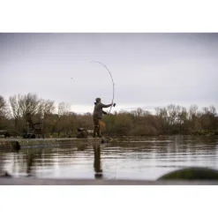 Canne Carpe Avid Carp React Rods