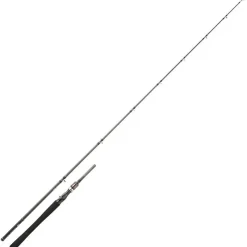 Daiwa Canne Casting Exceler Casting 1+1