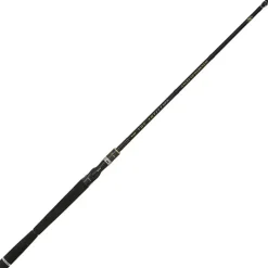 Illex Canne Casting The Artist X5 B 220 H+ Angel Of D