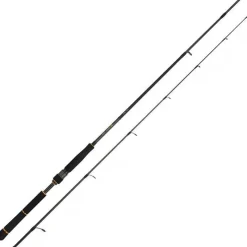 Daiwa Canne Black Gold Seabass