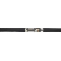 Daiwa Canne Saltiga
