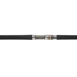 Canne Daiwa Saltiga Jigging