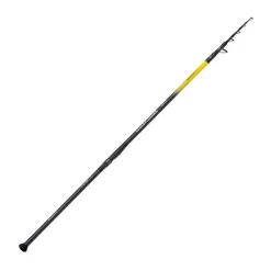 Shimano Canne Esturgeon Télescopique Beastmaster Ax Monster Tele