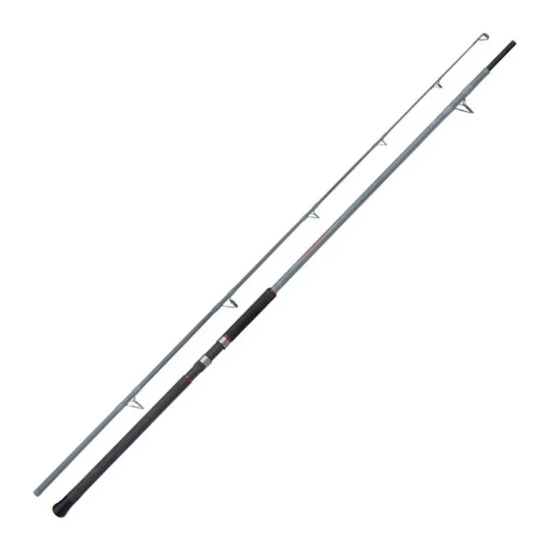 Canne Shimano Forcemaster Ax Catfish Static