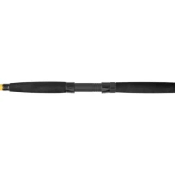 Black Cat Canne Spinning Black Passion G2 Bank