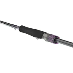 Daiwa Canne Spinning Prorex Ags Spinning
