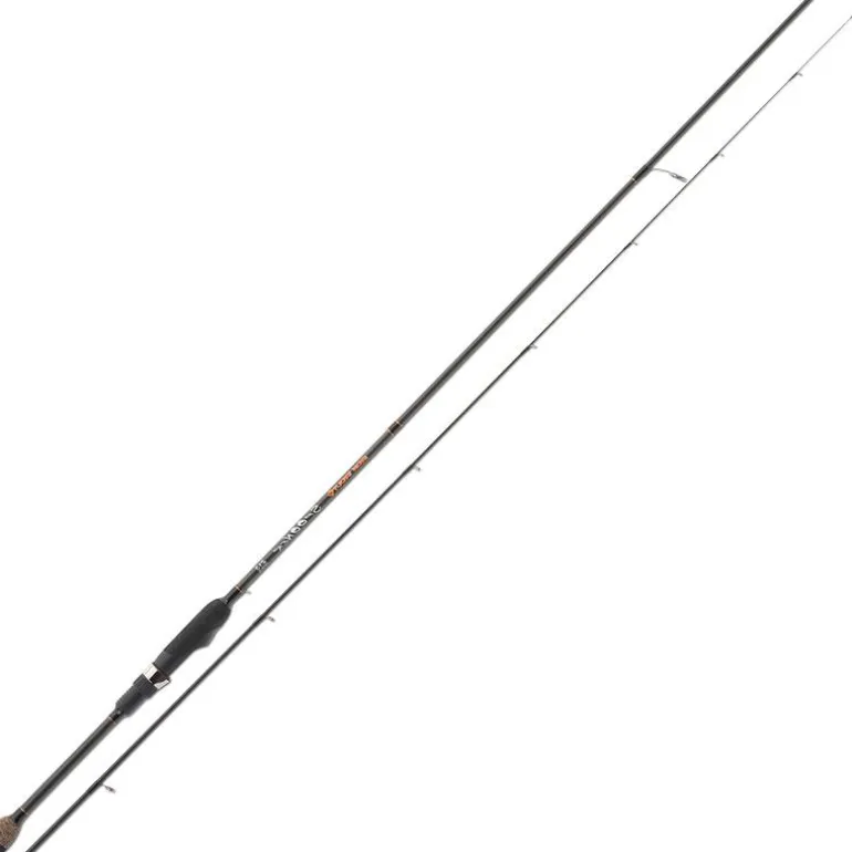Canne Spinning Iron Trout Spooner