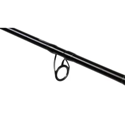Canne Spinning Mikado Intro Catfish