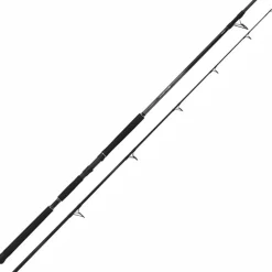 Shimano Canne Spinning Beastmaster Ax Catfish Static