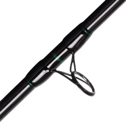 Zeck Canne Spinning Silure Buddy Long
