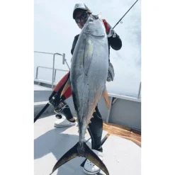 Tailwalk Canne Spinning Kuroshio Oc 80H