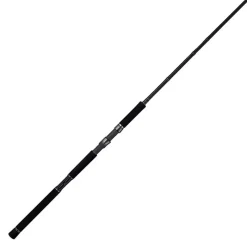Tailwalk Canne Spinning Rize Shooter Ssd S96mh