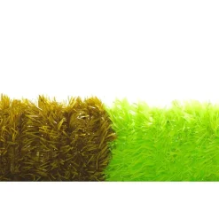 Chenille Textreme Neon Opaque - 15Mm