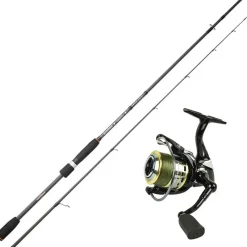 Sakura Ensemble Almara + Moulinet Spinning Alendo Fd