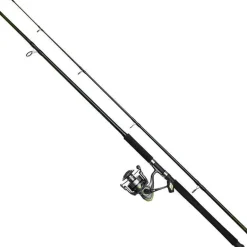 Ensemble Vertical Dam Full Cat Xp Vertical Combo