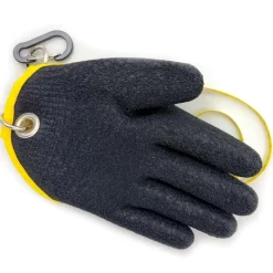 Fishxplorer Gants Brocator