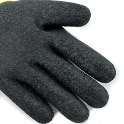 Fishxplorer Gants Brocator