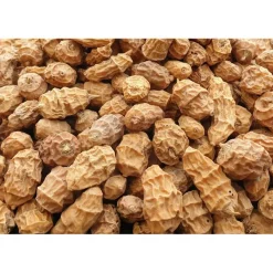 Poseidon Particles Graine Tigernuts Xxl