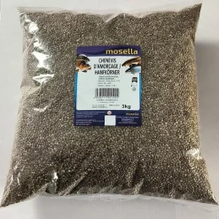 Mosella Graine Sèche Chenevis Amorcage