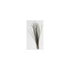 Herl De Paon Jmc Naturel