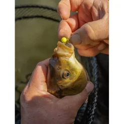 Hookbaits Sonubaits Spike'um Wafters