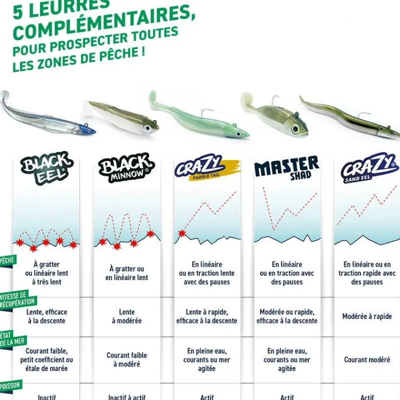 Fiiish Kit Leurre Souple Armé Combo Black Minnow 105 + Tête Plombée Shore