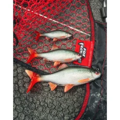Fox Rage Leurre Souple Armé Ultra-Realistic Roach Replicant