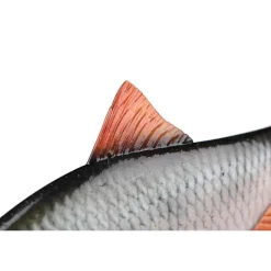 Fox Rage Leurre Souple Armé Ultra-Realistic Roach Replicant