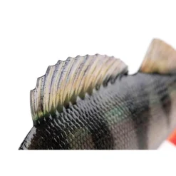 Fox Rage Leurre Souple Armé Ultra-Realistic Perch Replicant