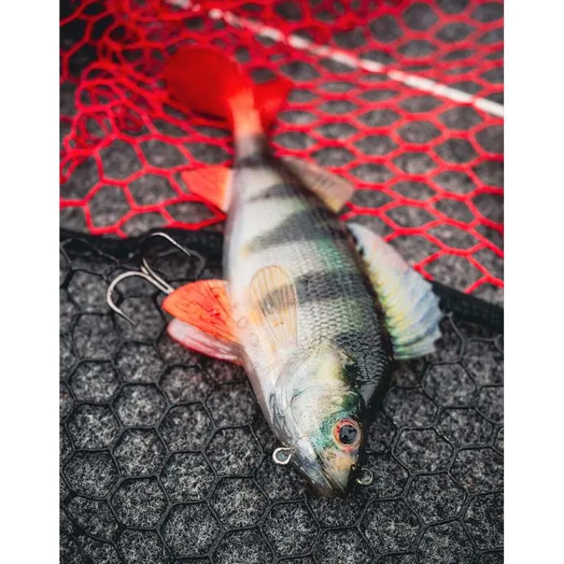 Fox Rage Leurre Souple Armé Ultra-Realistic Perch Replicant