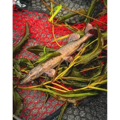 Fox Rage Leurre Souple Armé Ultra-Realistic Pike Replicant