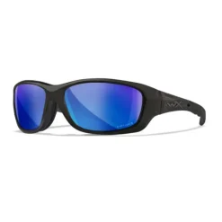 Wiley X Lunettes Polarisantes Gravity Captivate Polarized