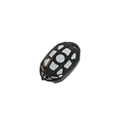 Moteur Électrique Haswing Cayman T55 12V