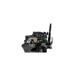Parsun Moteur Thermique F15abms-Efi 15Cv Arbre Court Barre Franche