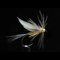 JMC Mouche Ephémères Ornans 21 Bl