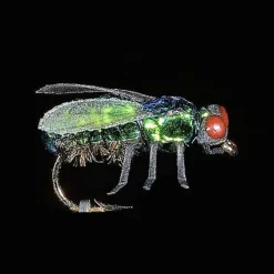 JMC Mouche Insectes Réalistes Noire