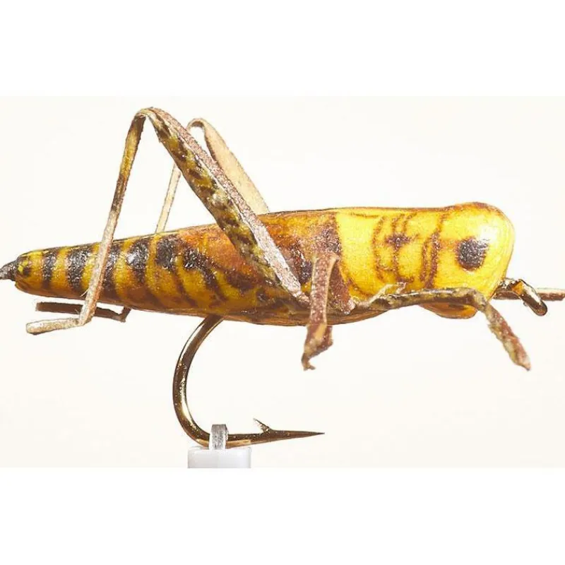 JMC Mouche Sauterelle 24