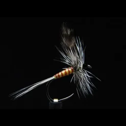 JMC Mouche Sèches Mai 44 Bl