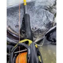 Black Cat Moulinet Casting Cast 301 Lh