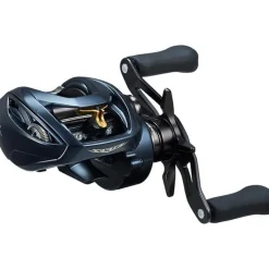 Daiwa Moulinet Casting Steez A2 Tw 2023
