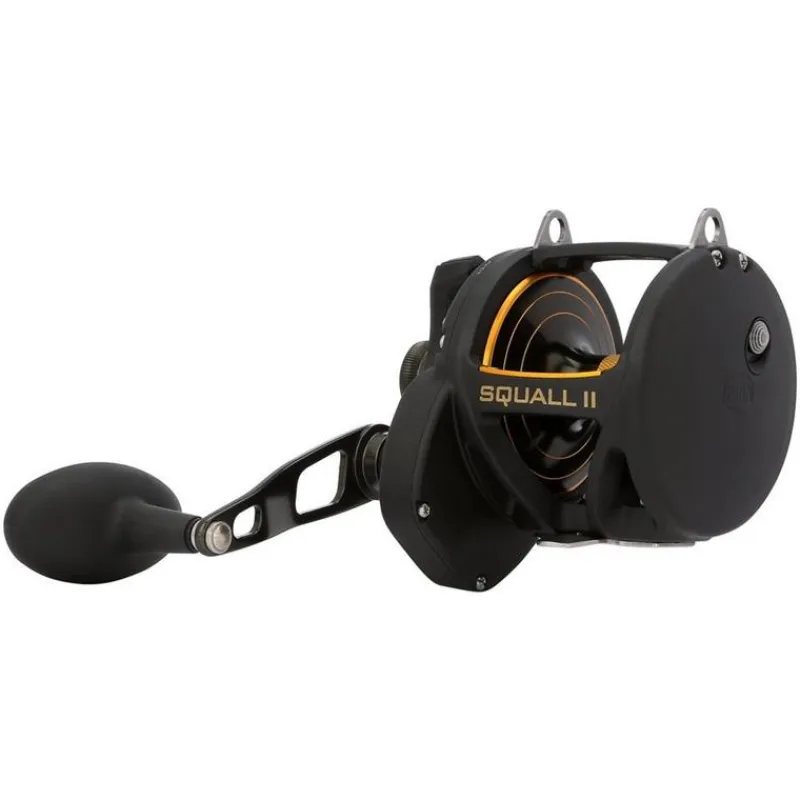 Penn Moulinet Traine Squall Ii Lever Drag Reel