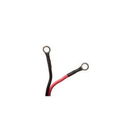 Haswing Pack Moteur Cayman B 55Lbs + Pédale De Direction Et Plaque Quick Release